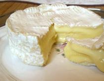 Рецепты блюд с сыром с красной, белой и зеленой плесенью с фото